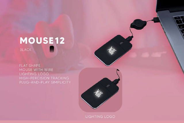 Mouse 12